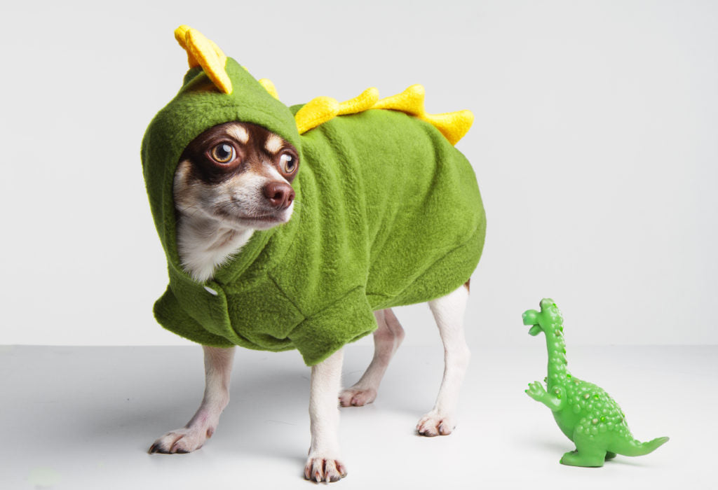 Dog Dinosaur Costume