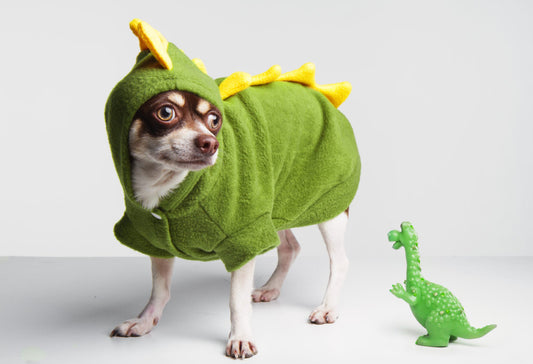 Dog Dinosaur Costume